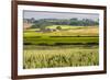 Farm House in Northumberland National Park-Matthew-Framed Photographic Print