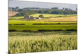 Farm House in Northumberland National Park-Matthew-Mounted Photographic Print
