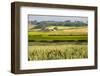 Farm House in Northumberland National Park-Matthew-Framed Photographic Print