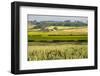 Farm House in Northumberland National Park-Matthew-Framed Photographic Print