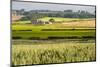 Farm House in Northumberland National Park-Matthew-Mounted Photographic Print