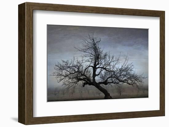 Farm House Tree-David Lorenz Winston-Framed Art Print