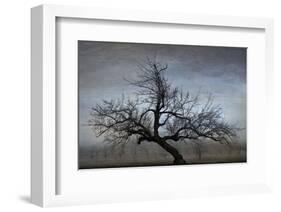 Farm House Tree-David Lorenz Winston-Framed Art Print