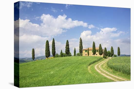 Farm House with Cypress Tree-Markus Lange-Stretched Canvas