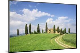 Farm House with Cypress Tree-Markus Lange-Mounted Photographic Print