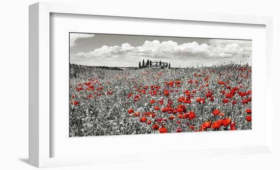 Farm house with cypresses and poppies, Tuscany, Italy-Frank Krahmer-Framed Art Print