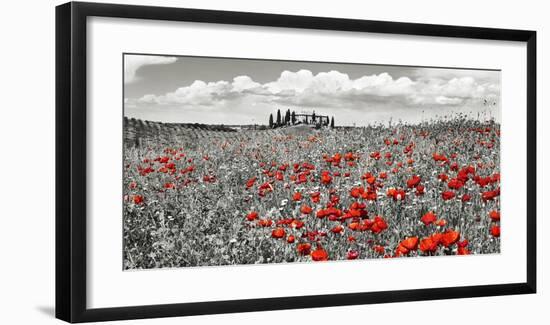 Farm house with cypresses and poppies, Tuscany, Italy-Frank Krahmer-Framed Art Print