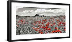 Farm house with cypresses and poppies, Tuscany, Italy-Frank Krahmer-Framed Art Print