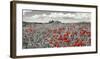 Farm house with cypresses and poppies, Tuscany, Italy-Frank Krahmer-Framed Art Print