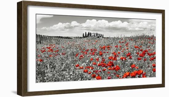 Farm house with cypresses and poppies, Tuscany, Italy-Frank Krahmer-Framed Art Print