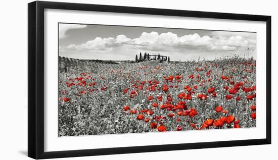 Farm house with cypresses and poppies, Tuscany, Italy-Frank Krahmer-Framed Art Print