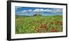 Farm house with cypresses and poppies, Tuscany, Italy-Frank Krahmer-Framed Art Print