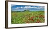 Farm house with cypresses and poppies, Tuscany, Italy-Frank Krahmer-Framed Art Print