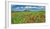 Farm house with cypresses and poppies, Tuscany, Italy-Frank Krahmer-Framed Art Print