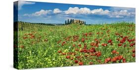 Farm house with cypresses and poppies, Tuscany, Italy-Frank Krahmer-Stretched Canvas