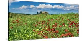 Farm house with cypresses and poppies, Tuscany, Italy-Frank Krahmer-Stretched Canvas