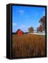 Farm in Autumn-Bruce Burkhardt-Framed Stretched Canvas