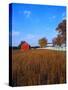 Farm in Autumn-Bruce Burkhardt-Stretched Canvas