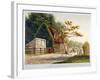 Farm in Kilburn Park, Edgware Road, Paddington, London, C1865-null-Framed Giclee Print