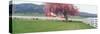 Farm in Spring, Wallowa Valley, Oregon, USA-Terry Eggers-Stretched Canvas