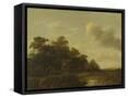 Framed Canvas
