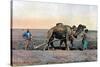 Farm Labourers Ploughing with a Camel, Caucasus, C1890-Gillot-Stretched Canvas