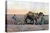 Farm Labourers Ploughing with a Camel, Caucasus, C1890-Gillot-Stretched Canvas