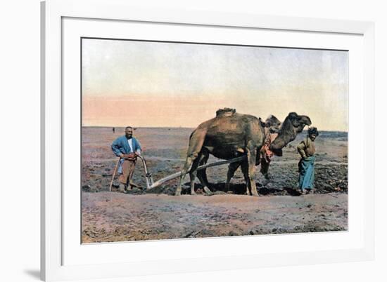 Farm Labourers Ploughing with a Camel, Caucasus, C1890-Gillot-Framed Giclee Print