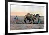 Farm Labourers Ploughing with a Camel, Caucasus, C1890-Gillot-Framed Giclee Print