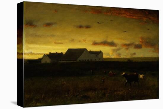 Farm Landscape, Cattle in Pasture, Sunset, Nantucket, C.1883-George Snr. Inness-Stretched Canvas