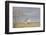 Farm Life Long Ago 2-null-Framed Photographic Print