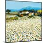 Farm Near Bini-Hazel Barker-Mounted Art Print