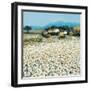 Farm Near Bini-Hazel Barker-Framed Art Print