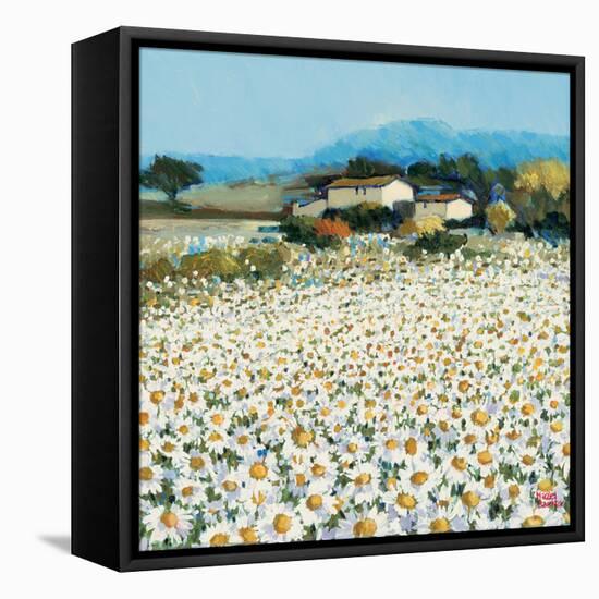 Farm Near Bini-Hazel Barker-Framed Stretched Canvas