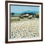 Farm Near Bini-Hazel Barker-Framed Premium Giclee Print