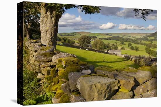 Farm Near Burnsall, Yorkshire Dales National Park, Yorkshire, England, United Kingdom, Europe-Miles Ertman-Stretched Canvas