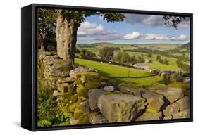 Farm Near Burnsall, Yorkshire Dales National Park, Yorkshire, England, United Kingdom, Europe-Miles Ertman-Framed Stretched Canvas