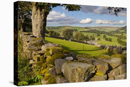 Farm Near Burnsall, Yorkshire Dales National Park, Yorkshire, England, United Kingdom, Europe-Miles Ertman-Stretched Canvas