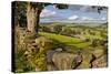 Farm Near Burnsall, Yorkshire Dales National Park, Yorkshire, England, United Kingdom, Europe-Miles Ertman-Stretched Canvas