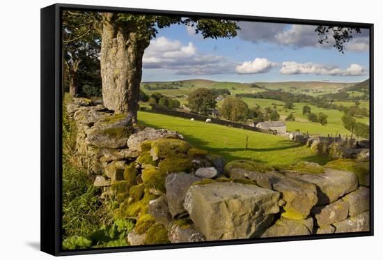 Farm Near Burnsall, Yorkshire Dales National Park, Yorkshire, England, United Kingdom, Europe-Miles Ertman-Framed Stretched Canvas