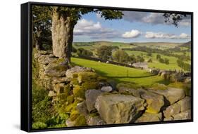 Farm Near Burnsall, Yorkshire Dales National Park, Yorkshire, England, United Kingdom, Europe-Miles Ertman-Framed Stretched Canvas