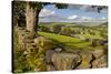 Farm Near Burnsall, Yorkshire Dales National Park, Yorkshire, England, United Kingdom, Europe-Miles Ertman-Stretched Canvas