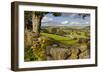 Farm Near Burnsall, Yorkshire Dales National Park, Yorkshire, England, United Kingdom, Europe-Miles Ertman-Framed Photographic Print