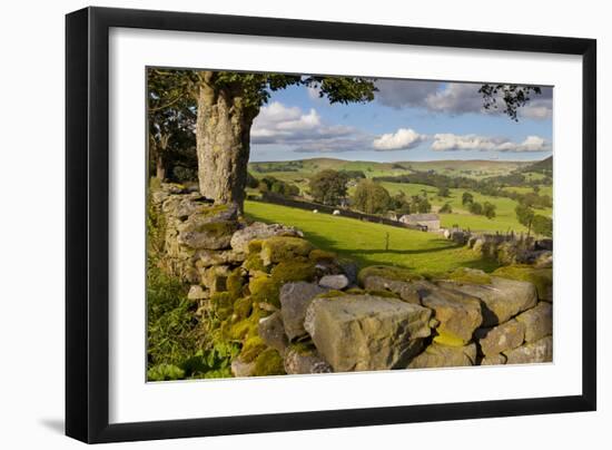 Farm Near Burnsall, Yorkshire Dales National Park, Yorkshire, England, United Kingdom, Europe-Miles Ertman-Framed Photographic Print