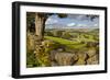 Farm Near Burnsall, Yorkshire Dales National Park, Yorkshire, England, United Kingdom, Europe-Miles Ertman-Framed Photographic Print