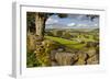 Farm Near Burnsall, Yorkshire Dales National Park, Yorkshire, England, United Kingdom, Europe-Miles Ertman-Framed Photographic Print