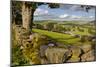 Farm Near Burnsall, Yorkshire Dales National Park, Yorkshire, England, United Kingdom, Europe-Miles Ertman-Mounted Photographic Print