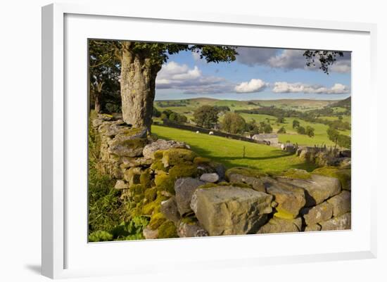 Farm Near Burnsall, Yorkshire Dales National Park, Yorkshire, England, United Kingdom, Europe-Miles Ertman-Framed Photographic Print