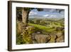 Farm Near Burnsall, Yorkshire Dales National Park, Yorkshire, England, United Kingdom, Europe-Miles Ertman-Framed Photographic Print