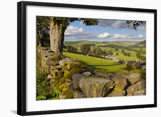 Farm Near Burnsall, Yorkshire Dales National Park, Yorkshire, England, United Kingdom, Europe-Miles Ertman-Framed Photographic Print